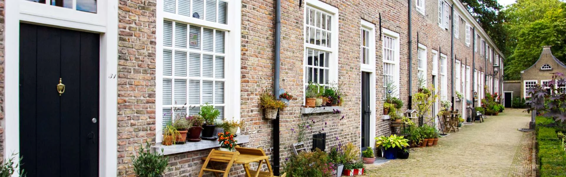 row houses plants
